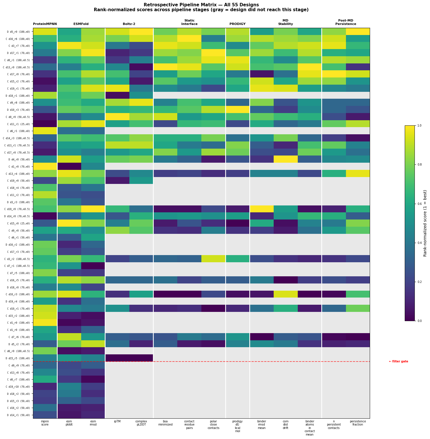 Rank-normalized retrospective heatmap for all 55 PD-L1 mini-binder designs across seven pipeline stages